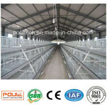 Layer / Broiler / Pullet Brooder Cage de poulet